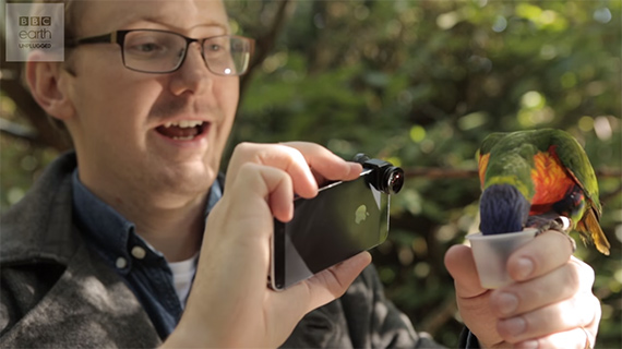 clip-on micro lens, bird photography