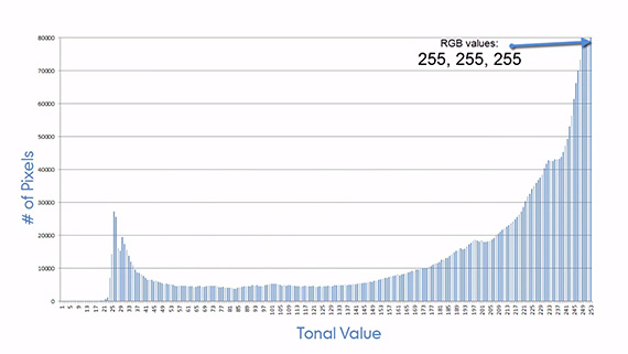 labeled histogram