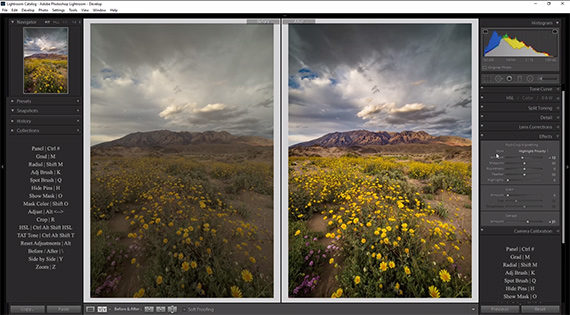 camera raw lightroom processing tips 