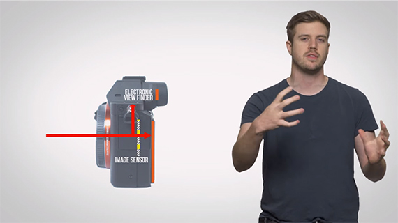 DSLR vs. Mirrorless