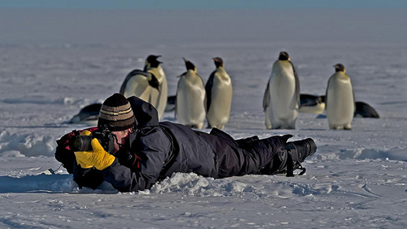 antarctica photographer