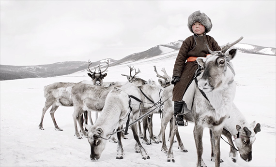 Tsaatan, reindeer, Mongolia