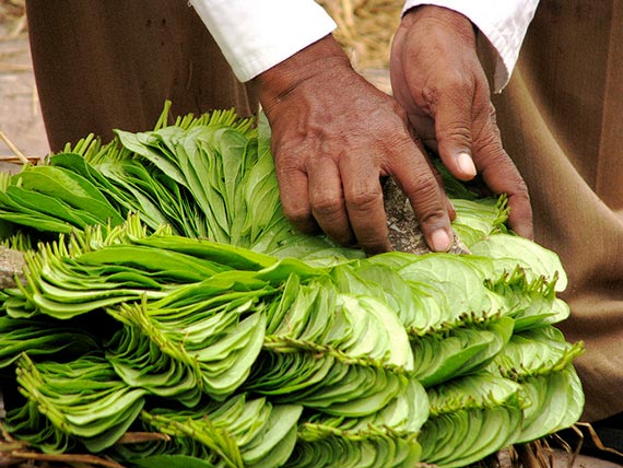 india street food photography