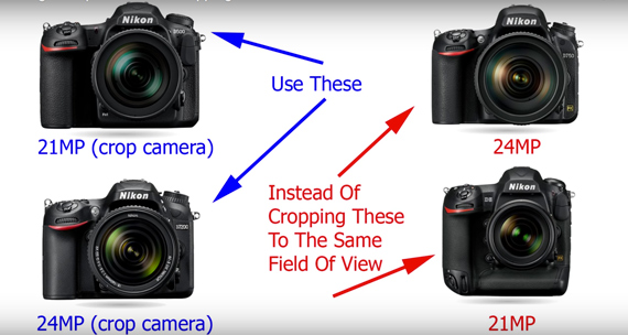 When to use dx cameras for wildlife photography
