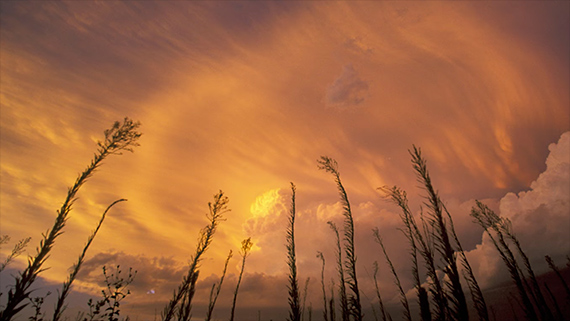 texas-sunset