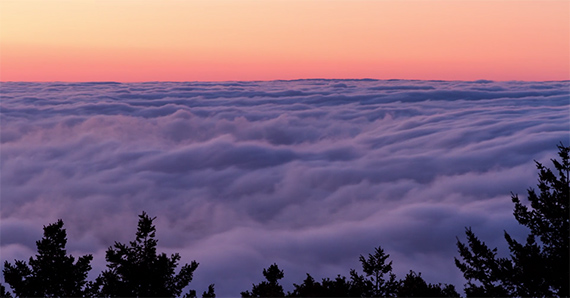 Danny MacRostie, Mount Tamalpais 