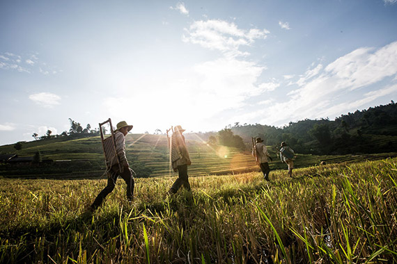 north vietnam travel photography