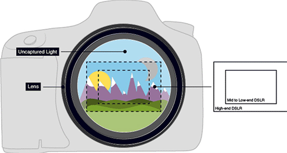 the-ultimate-guide-to-crop-factor