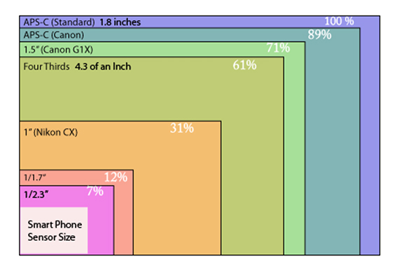 crop sensor sizes