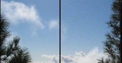 Digital Zoom Versus Optical Zoom