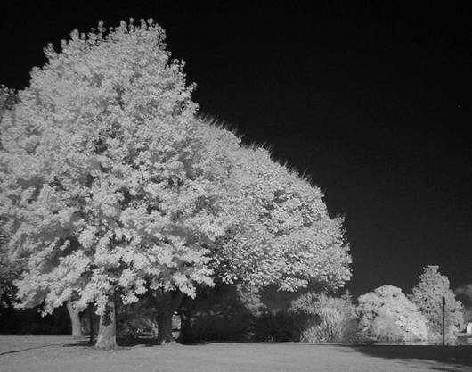 dusk infrared photography