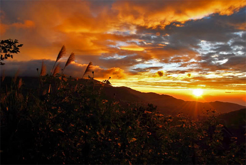 backyard sunset photography