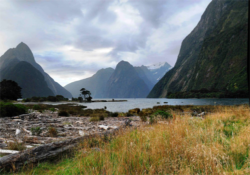 new zealand landscape photography