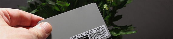 How To Use a Grey Card in Photography