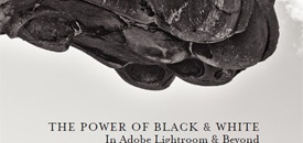 Power of Black & White in Adobe Lightroom: eBook Review