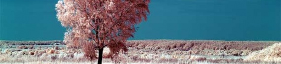 What is Infrared Photography?