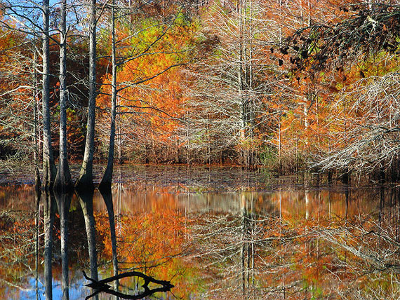 capturing autumn foliage photo tips