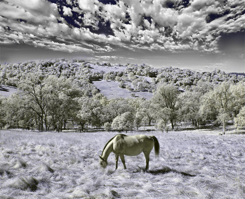 infrared photo tutorial