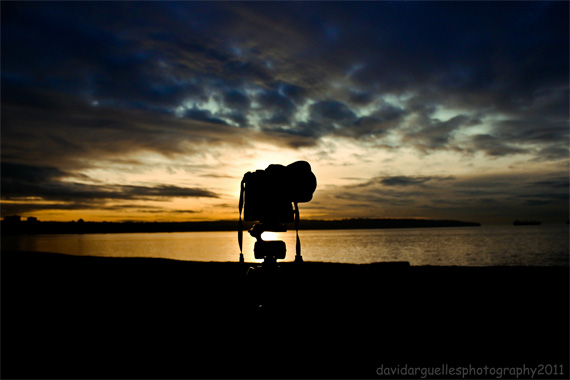 tripods and monopods