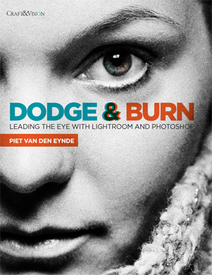 dodge-burn dodge-burn-ebook