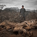 Haunting Image Spreads Awareness of Ivory Consequences