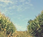 Timelapse Photography Music Video in the French Countryside