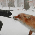 Interesting Photo of the Day: Curious Fox Requests a Portrait