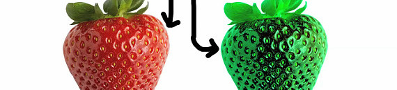 Color Perception and How it Might Apply to Photography