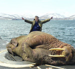 Interesting Photo of the Day: Massive Walrus Naps on Submarine Hatch