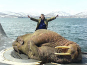 Interesting Photo of the Day: Massive Walrus Naps on Submarine Hatch