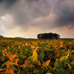 Bad Weather = Good Light for Photographers
