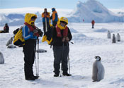 Interesting Photo of the Day: Friendly Penguin Chats with Antarctic Tourists