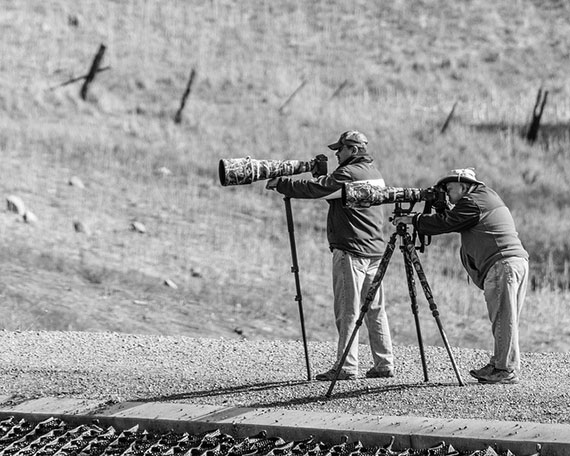 monopod vs tripod