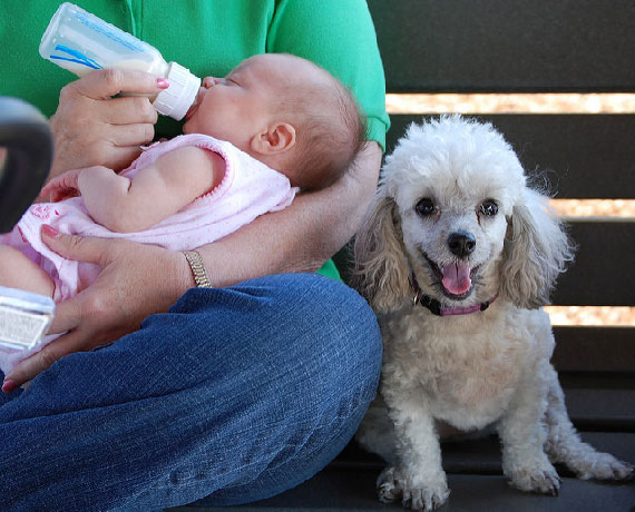 dog and baby