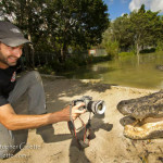 Camera Stolen By Alligator is Recovered Almost a Year Later