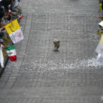 Interesting Photo of the Day: A Dog Has His Day