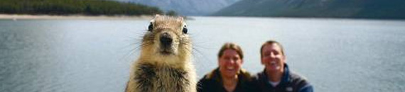 Some of the Funniest Animal Photobombs Ever