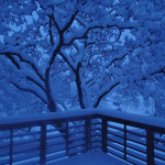 Interesting Photo of the Day: Blue Hour Snow