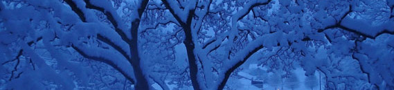 Interesting Photo of the Day: Blue Hour Snow