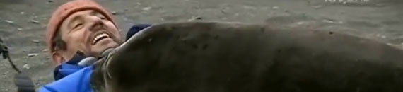 Photographer Gets Adorably Crushed by Seals