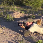 Adorable Video of Photographer Being Cuddled by African Meerkats