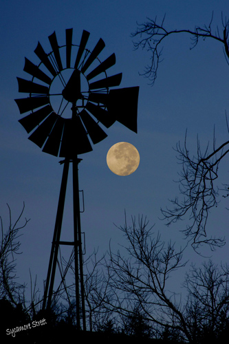 moon and windmill