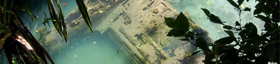 Interesting Photo of the Day: A Crashed and Sunken Plane