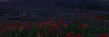 Interesting Photo of the Day: Mount Saint Helens Volcano Under a Blanket of Stars