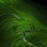 Interesting Photo of the Day: High Up in Longsheng, China