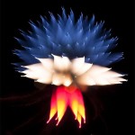 Interesting Photo of the Day: Focus Blur Effect for Fireworks Photography