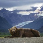 Interesting Photo of the Day: Miss Alaska in Her Native Element