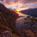 Interesting Photo of the Day: Lone Pine Tree on Cliff in Norway