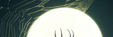 Interesting Photo of the Day: Giant Spider Silhouetted Against the Moon