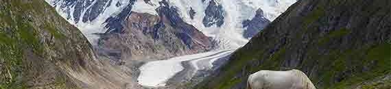 Interesting Photo of the Day: Is There a Unicorn in Kyrgyzstan?